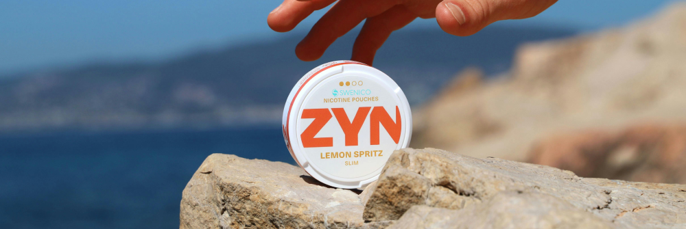 Markenverzeichnis für Snus: Alle wichtigen Marken im Überblick