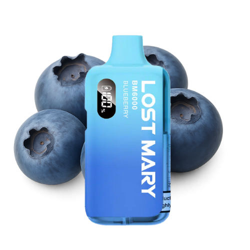 LOST MARY BM 6000 Vape Kit Blueberry – Lost Mary BM6000 Vape Kit Blueberry