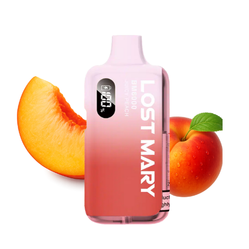 LOST MARY BM 6000 Vape Kit Juicy Peach – Lost Mary BM6000 Vape Kit Juicy Peach