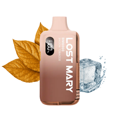 LOST MARY BM 6000 Snow Tobacco