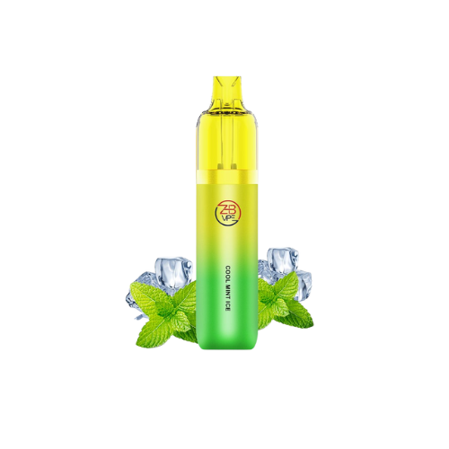 ZHB 10K Vape Kit Cool Mint – ZHB Vape ZHB 10K Vape Kit Cool Mint