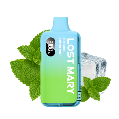 LOST MARY BM 6000 Vape Kit Fresh Mint – Lost Mary BM6000 Vape Kit Fresh Mint