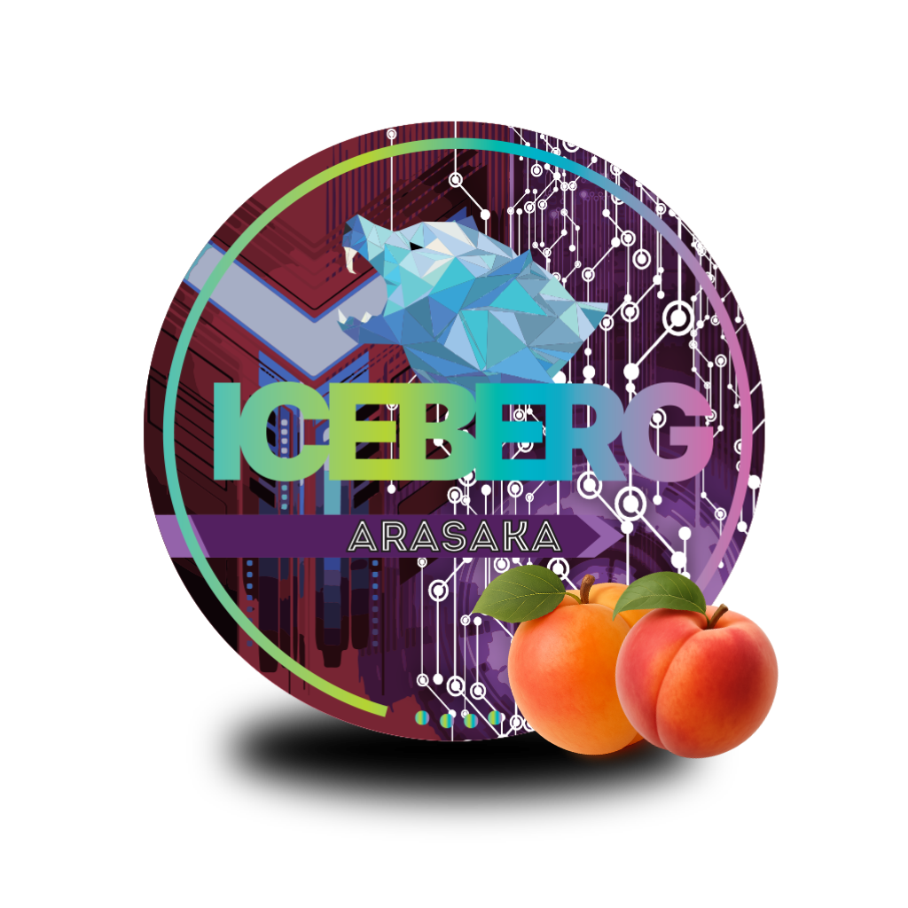 ICEBERG Arasaka ICEBERG Nicopods Slim 50mg/g