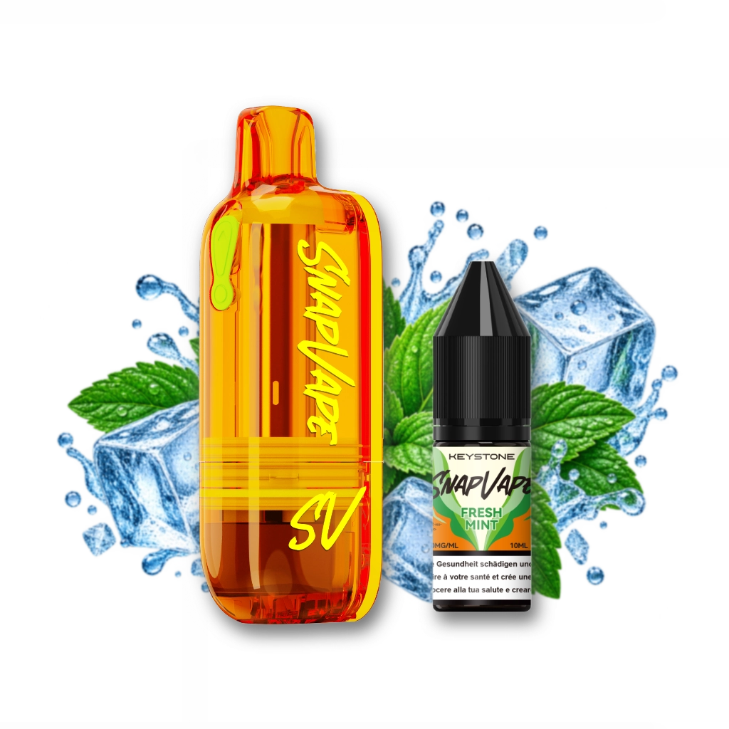 SnapVape | Leerpod + Fresh Mint (20mg/ml)