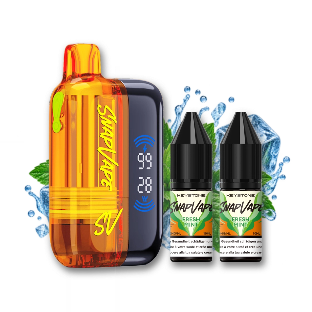 SnapVape Starter Kit | Akkuträger + Leerpod + 2x E-Liquid Fresh Mint (20mg/ml)
